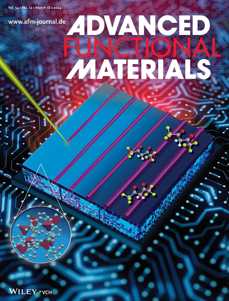 cover of Advanced Functional Materials with a scientific diagram